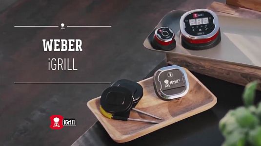 WEBER iGrill Thermometer