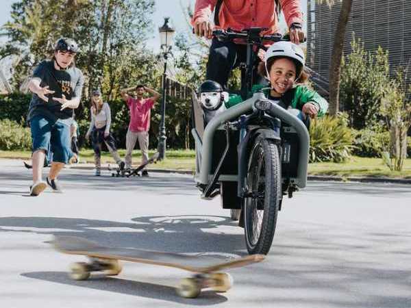 Bosch Ebike Abs Cargo