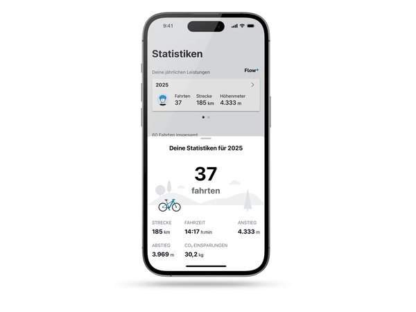 Bosch Ebike Flow Daten