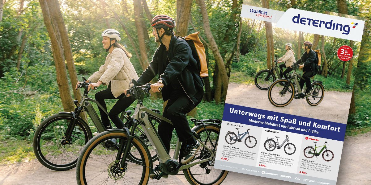 Deterding E-Bike Prospekt 2024