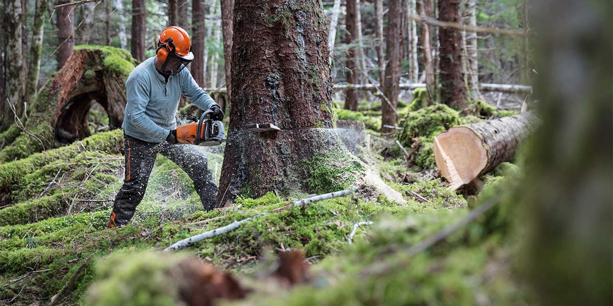 Die Profi-Motorsäge STIHL MS 462 C-M