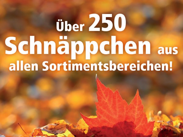 Hsw Schnaeppchen