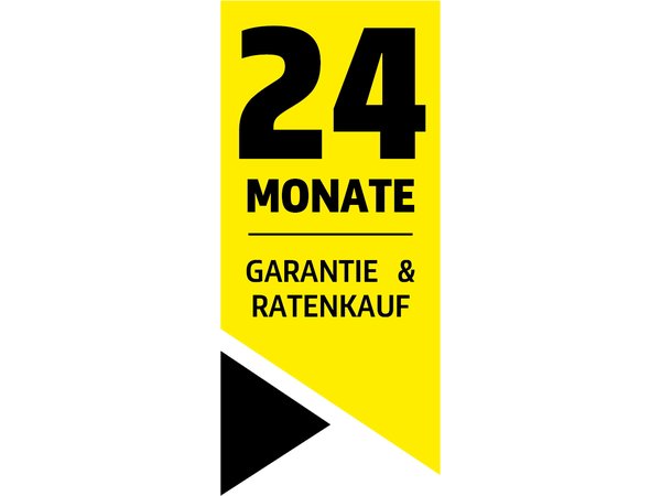 Aktionsfahne