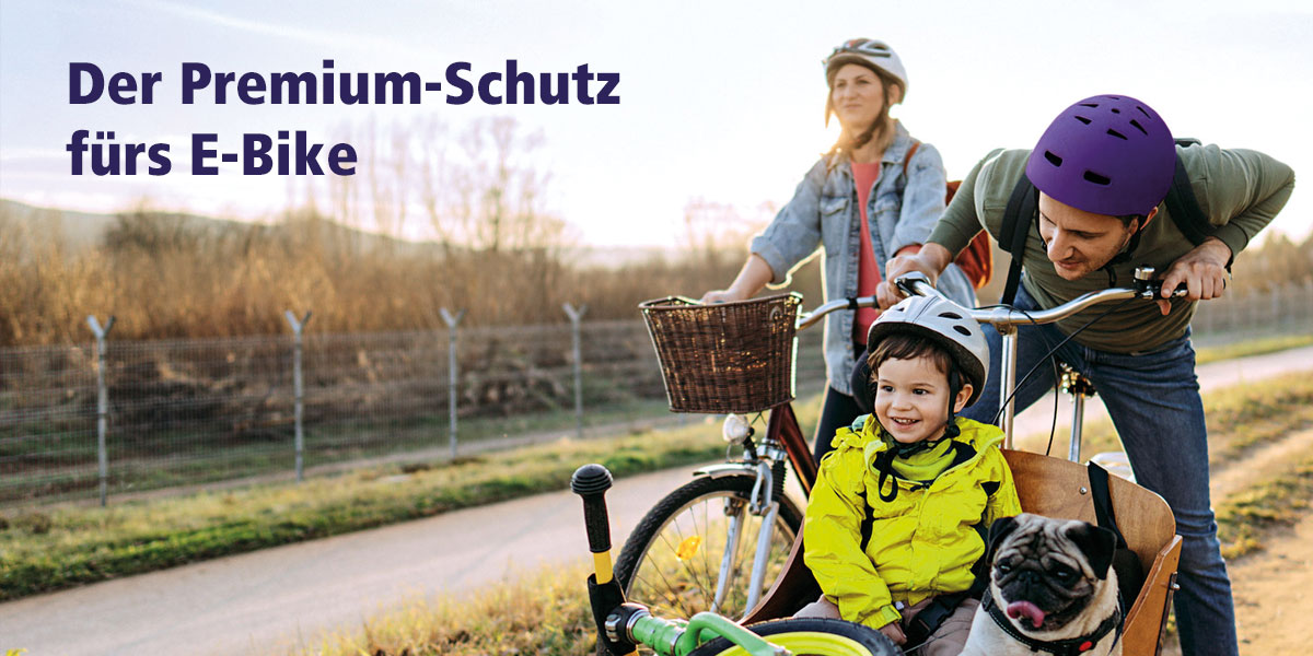 linexo - Der Premiumschutz für Ihr E-Bike