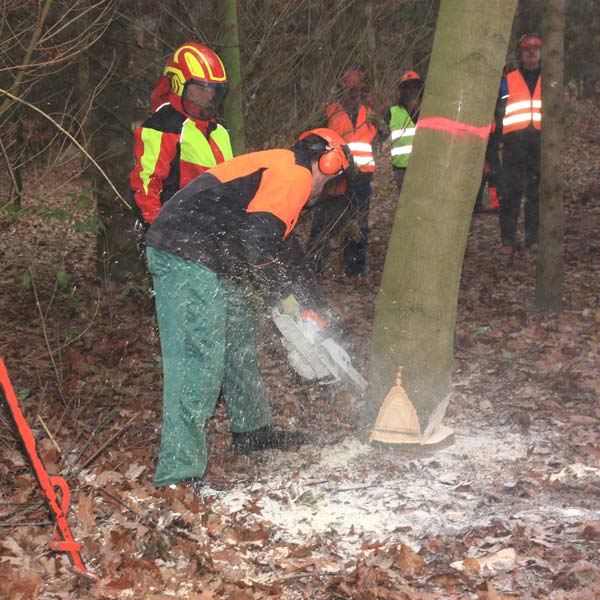 Grundkurs für Brennholzselbstwerber