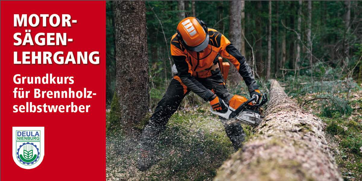 Motorsägen-Lehrgänge bei Deterding