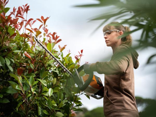 STIHL Heckenscheren