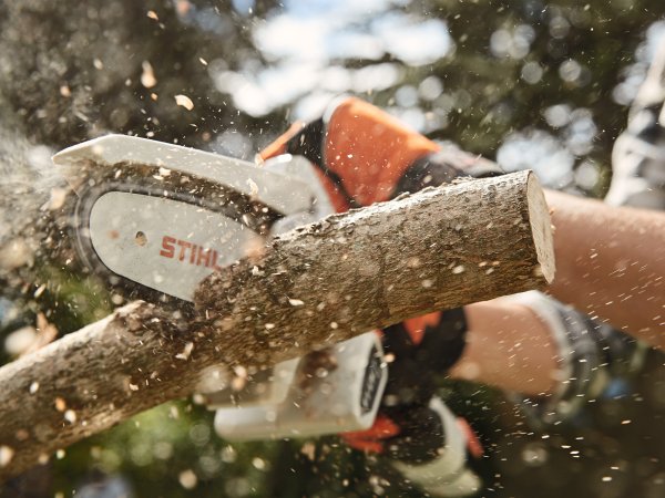Stihl Gehoelzschneider