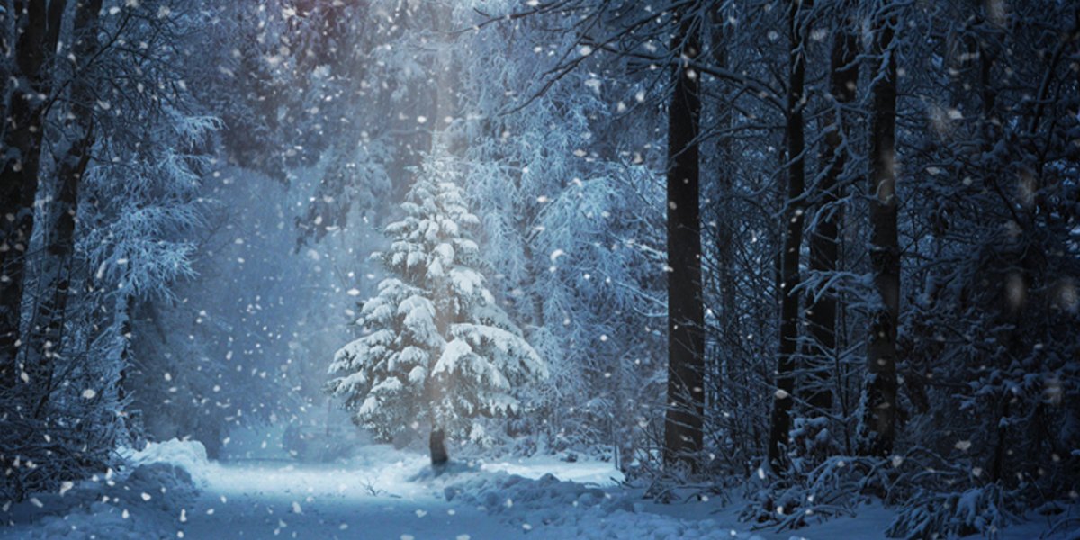 Fröhliche Weihnachten