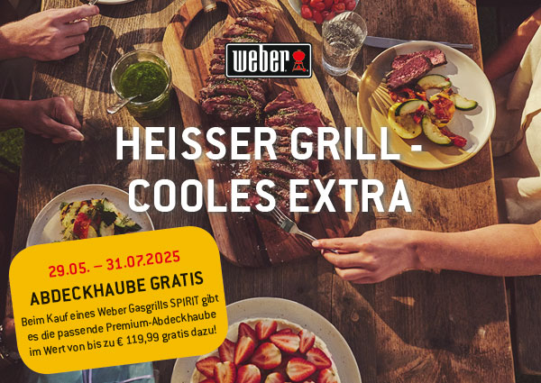 WEBER Summer Sale 2025