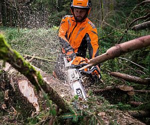 Die STIHL MS 500i - ideal für die Starkholzernte