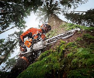 Die Benzin-Motorsäge STIHL MS 500i für den professionellen Einsatz