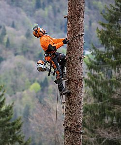 Die Benzin-Motorsäge STIHL MS 462 C-M für den professionellen Einsatz