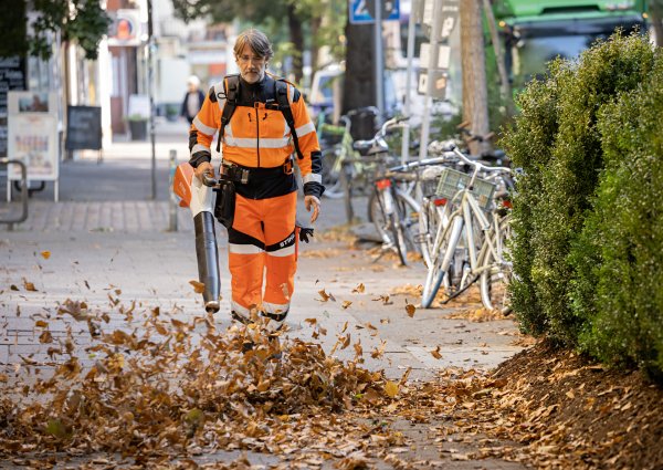 Profi-Frühstück Laubbeseitigung und Bodenreinigung