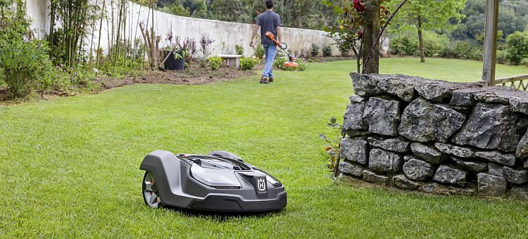 Der Automower schafft Zeit für andere Gartenarbeiten