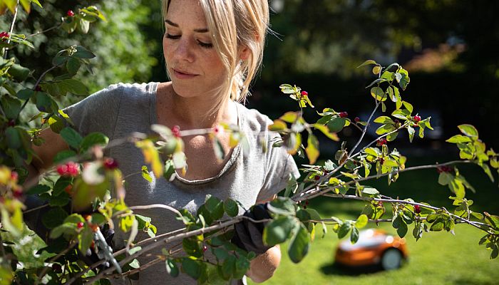 Die Mähroboter iMow von Stihl sorgen für schönen und gepflegten Rasen