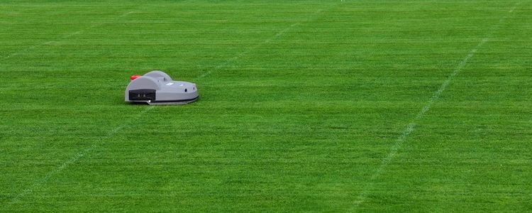 Der ECHO Großflächen-Roboter im Profi-Einsatz