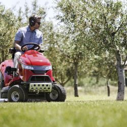 Ein Rasentraktor schenkt die Zeit für andere Gartenarbeiten