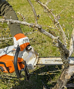 Akkukettensäge MSA 220 C-B von STIHL
