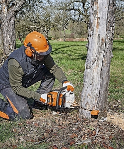 MSA 220 C-B AkkuPRO - Die leistungsstärkste Akku-Motorsäge von STIHL